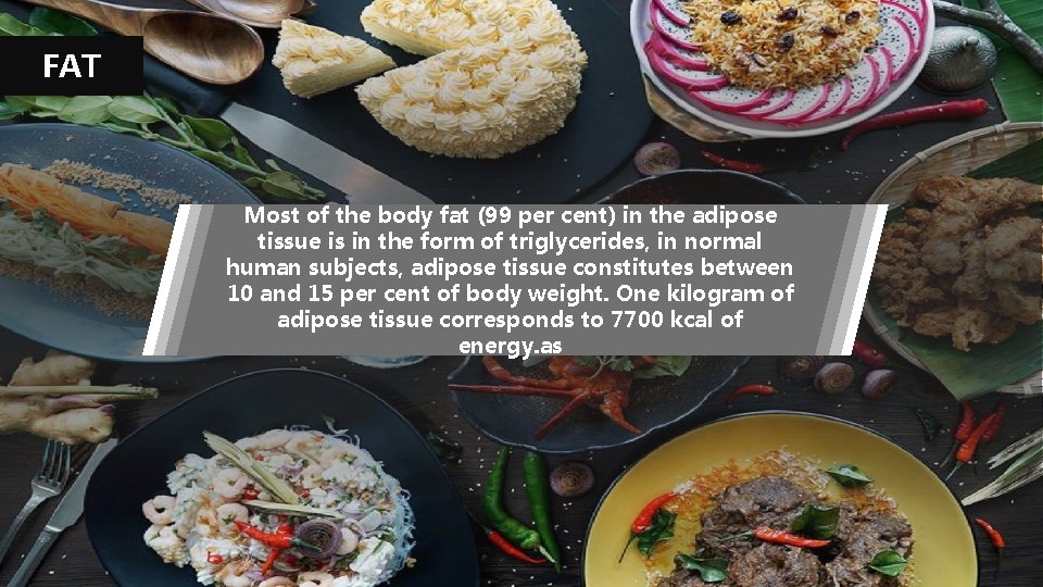 FAT Most of the body fat (99 per cent) in the adipose tissue is