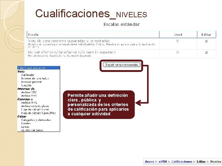 Cualificaciones_NIVELES Permite añadir una definición clara , pública y personalizada de los criterios de