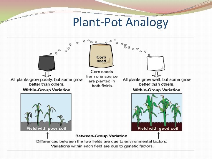 Plant-Pot Analogy 