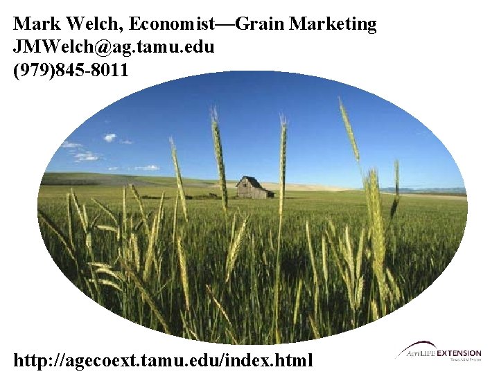 Mark Welch, Economist—Grain Marketing JMWelch@ag. tamu. edu (979)845 -8011 http: //agecoext. tamu. edu/index. html