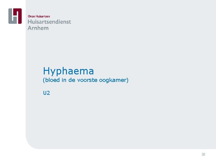 Hyphaema (bloed in de voorste oogkamer) U 2 38 