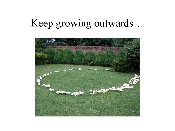 Keep growing outwards… 