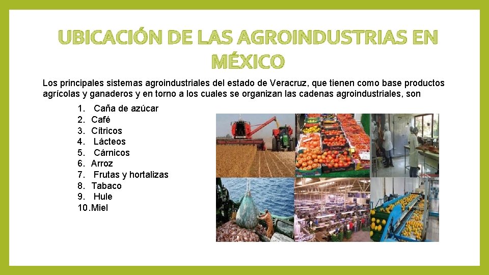 UBICACIÓN DE LAS AGROINDUSTRIAS EN MÉXICO Los principales sistemas agroindustriales del estado de Veracruz,