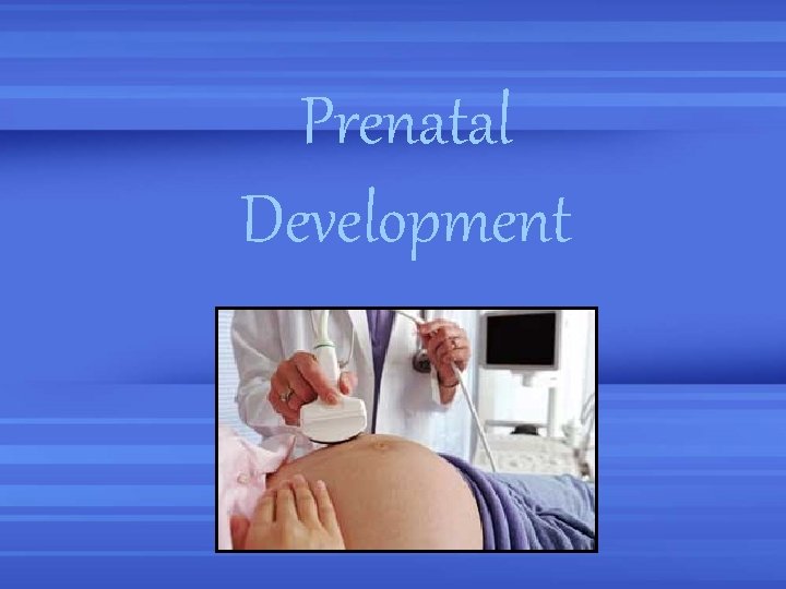 Prenatal Development 