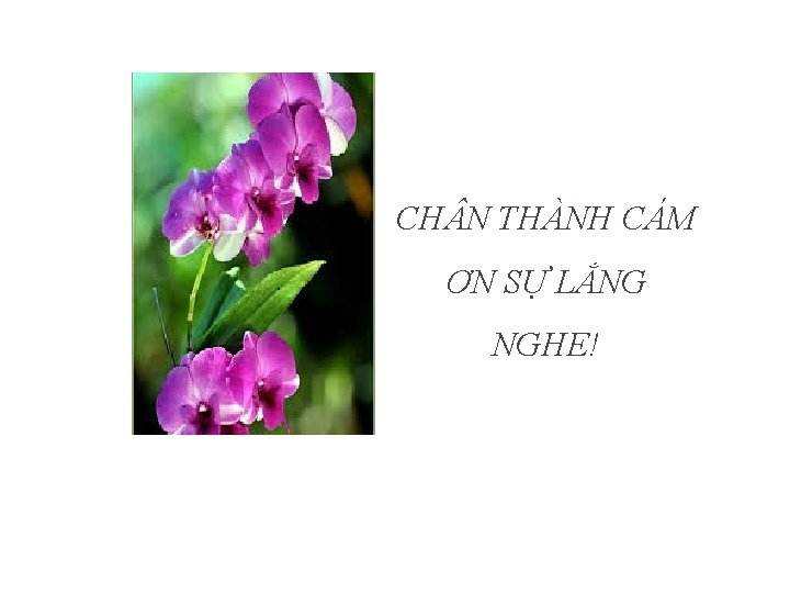 CH N THÀNH CÁM ƠN SỰ LẮNG NGHE! 