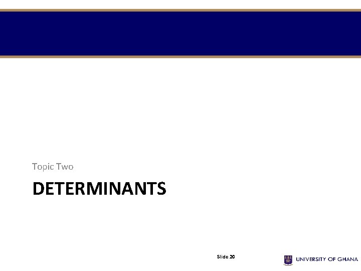 Topic Two DETERMINANTS Slide 20 