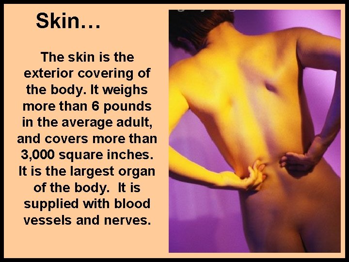 Skin… The skin is the exterior covering of the body. It weighs more than
