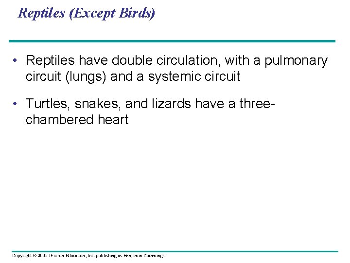 Reptiles (Except Birds) • Reptiles have double circulation, with a pulmonary circuit (lungs) and
