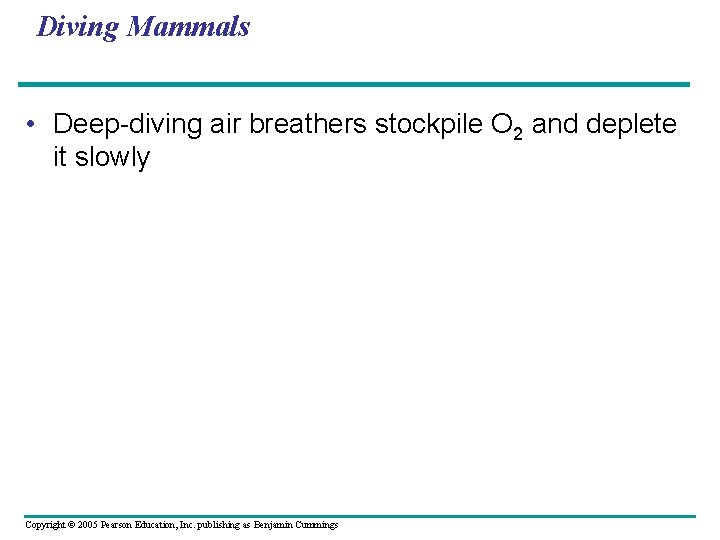 Diving Mammals • Deep-diving air breathers stockpile O 2 and deplete it slowly Copyright