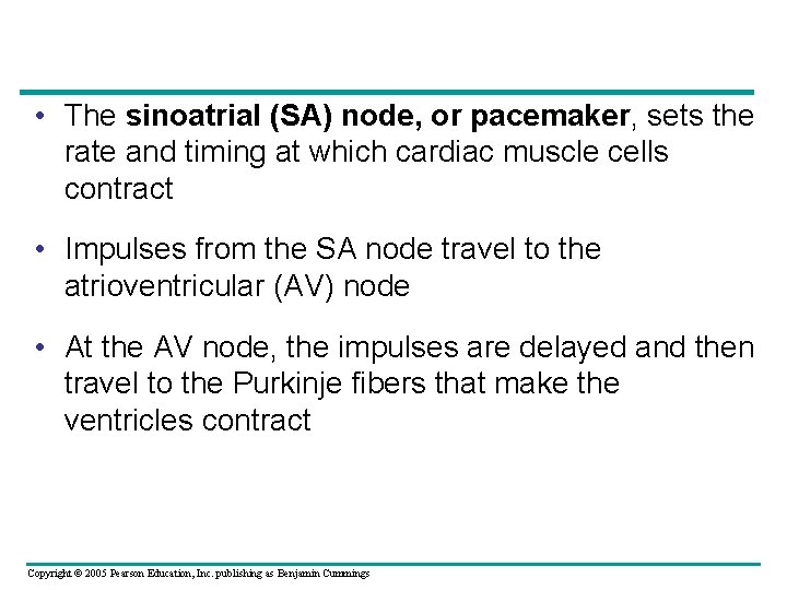  • The sinoatrial (SA) node, or pacemaker, sets the rate and timing at