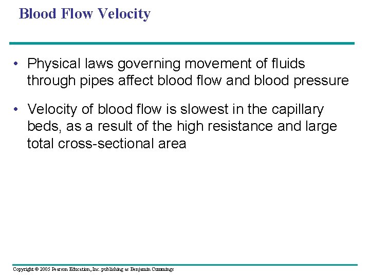 Blood Flow Velocity • Physical laws governing movement of fluids through pipes affect blood