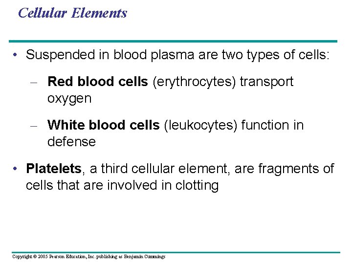 Cellular Elements • Suspended in blood plasma are two types of cells: – Red
