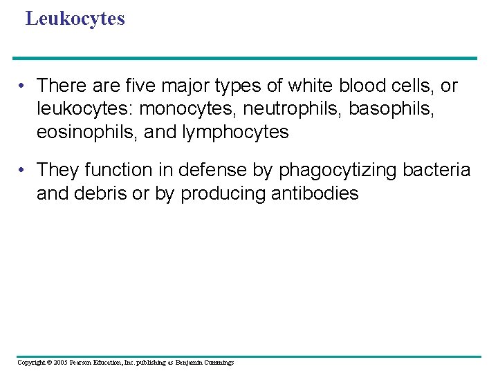 Leukocytes • There are five major types of white blood cells, or leukocytes: monocytes,