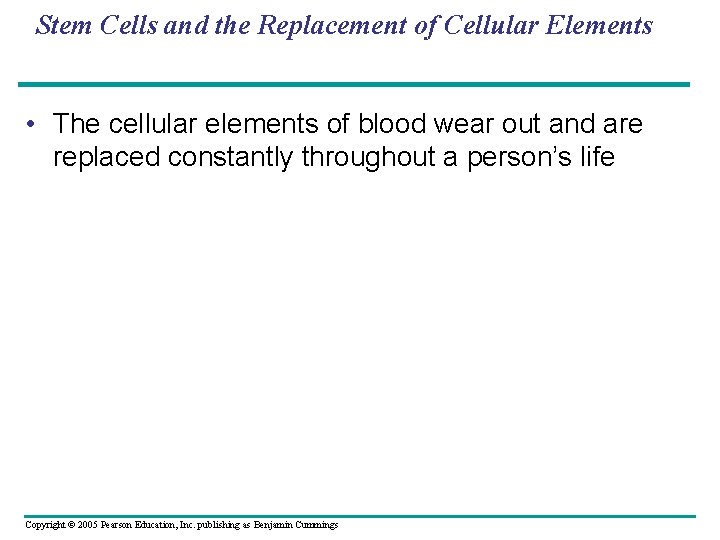 Stem Cells and the Replacement of Cellular Elements • The cellular elements of blood