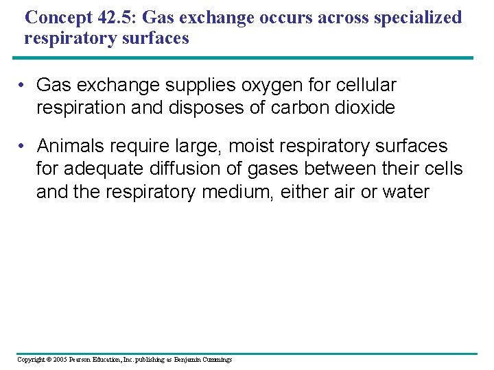 Concept 42. 5: Gas exchange occurs across specialized respiratory surfaces • Gas exchange supplies