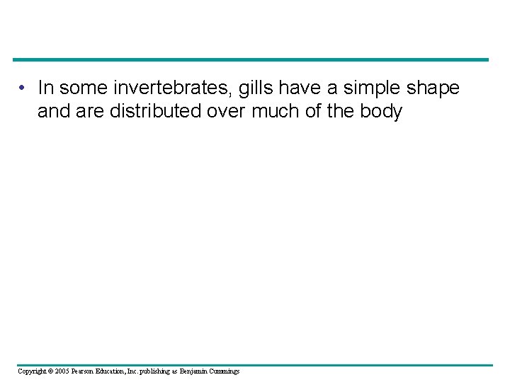  • In some invertebrates, gills have a simple shape and are distributed over