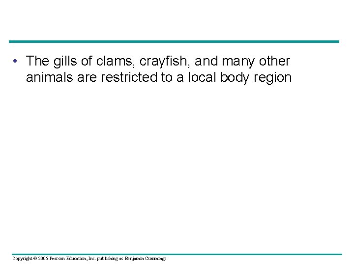 • The gills of clams, crayfish, and many other animals are restricted to