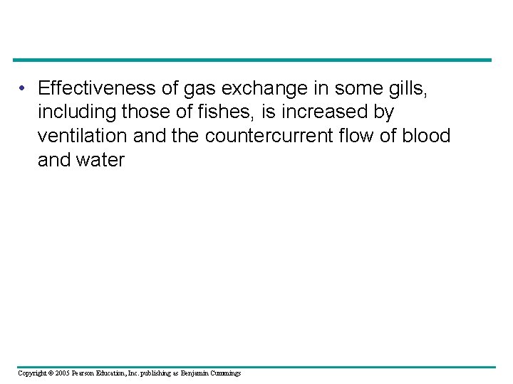  • Effectiveness of gas exchange in some gills, including those of fishes, is