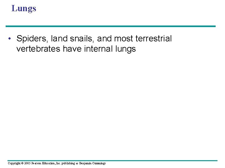 Lungs • Spiders, land snails, and most terrestrial vertebrates have internal lungs Copyright ©