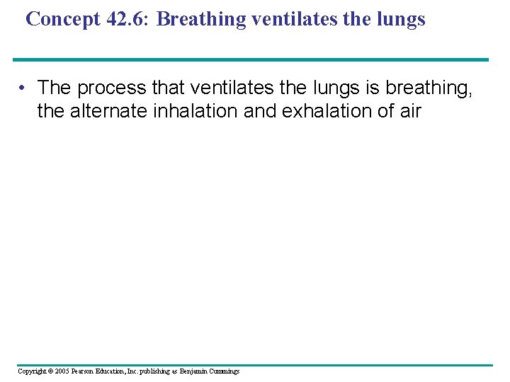 Concept 42. 6: Breathing ventilates the lungs • The process that ventilates the lungs