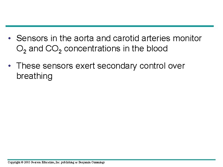  • Sensors in the aorta and carotid arteries monitor O 2 and CO