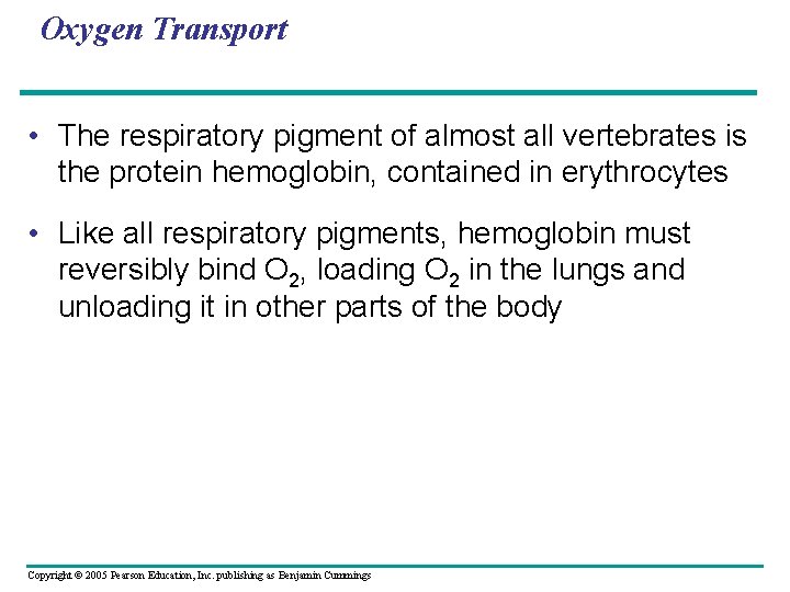 Oxygen Transport • The respiratory pigment of almost all vertebrates is the protein hemoglobin,
