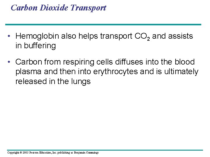 Carbon Dioxide Transport • Hemoglobin also helps transport CO 2 and assists in buffering