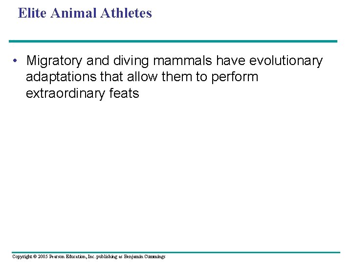 Elite Animal Athletes • Migratory and diving mammals have evolutionary adaptations that allow them