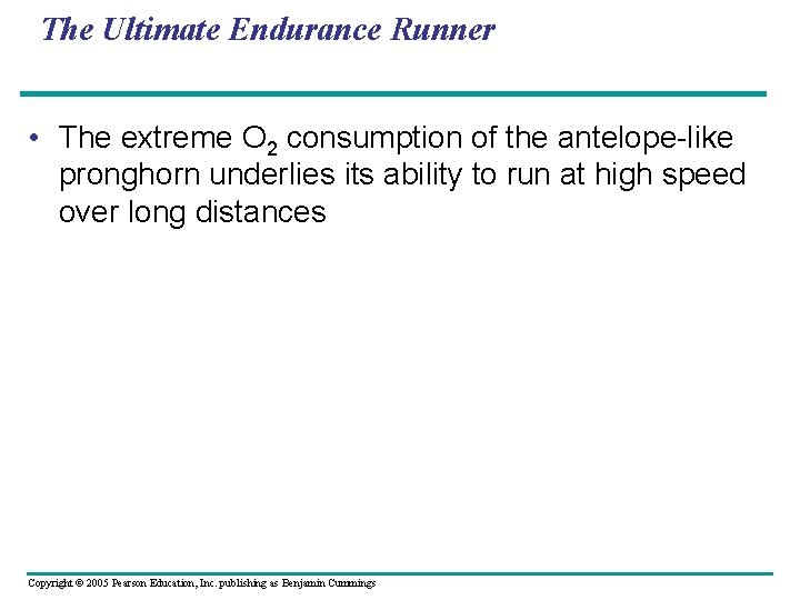 The Ultimate Endurance Runner • The extreme O 2 consumption of the antelope-like pronghorn