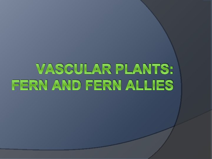 VASCULAR PLANTS: FERN AND FERN ALLIES 