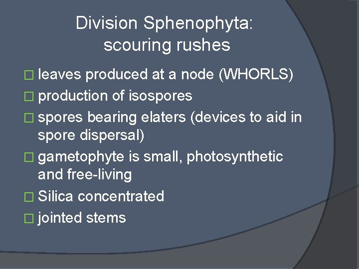 Division Sphenophyta: scouring rushes � leaves produced at a node (WHORLS) � production of
