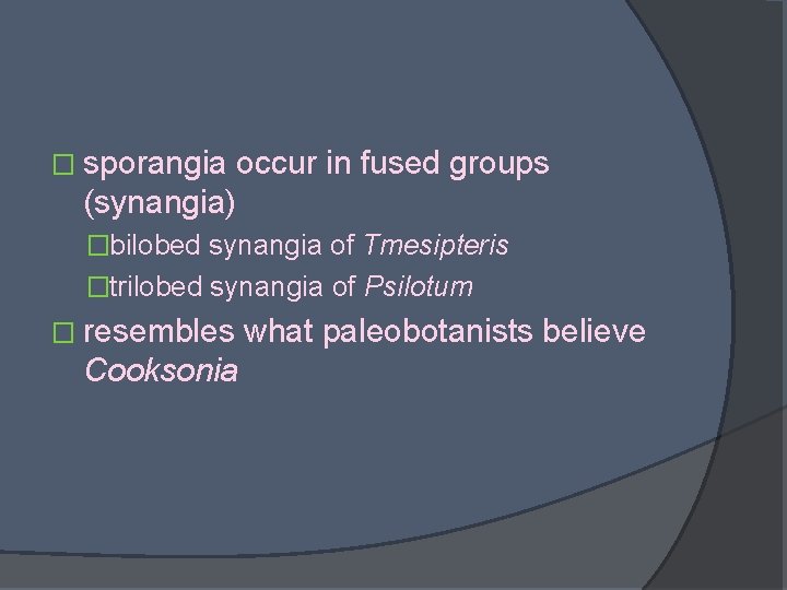 � sporangia occur in fused groups (synangia) �bilobed synangia of Tmesipteris �trilobed synangia of