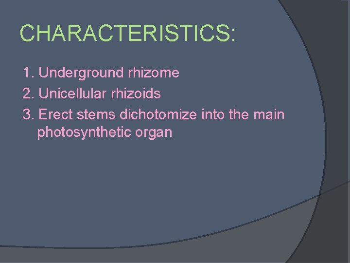 CHARACTERISTICS: 1. Underground rhizome 2. Unicellular rhizoids 3. Erect stems dichotomize into the main