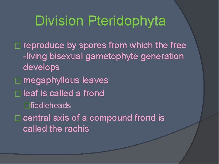 Division Pteridophyta � reproduce by spores from which the free -living bisexual gametophyte generation