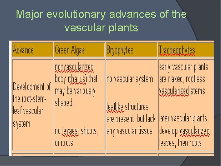 Major evolutionary advances of the vascular plants 