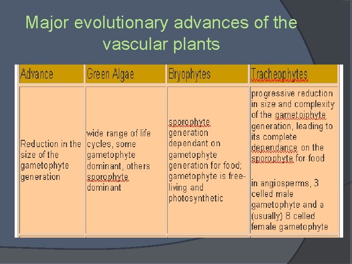 Major evolutionary advances of the vascular plants 