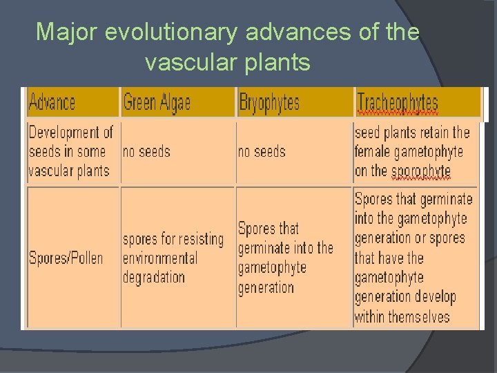 Major evolutionary advances of the vascular plants 