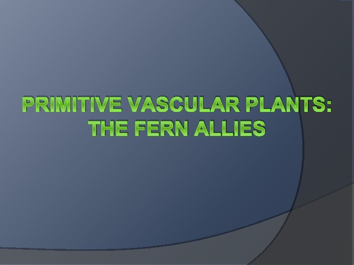 PRIMITIVE VASCULAR PLANTS: THE FERN ALLIES 