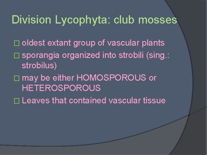 Division Lycophyta: club mosses � oldest extant group of vascular plants � sporangia organized