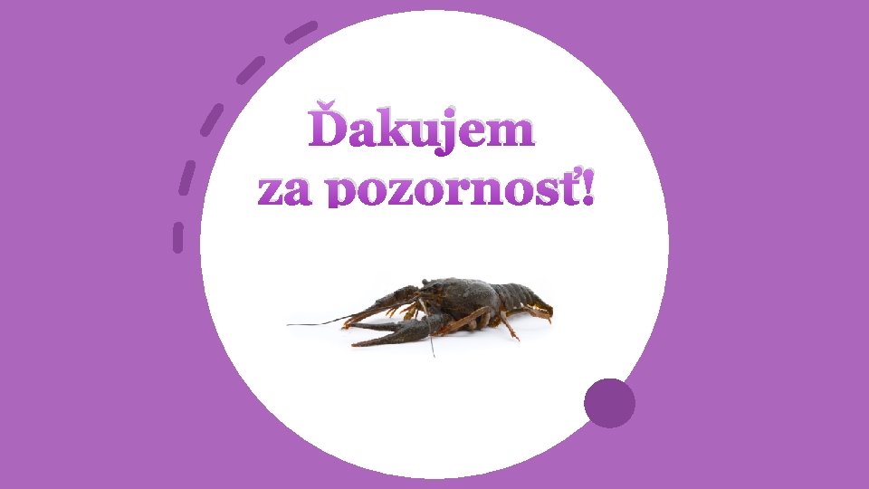 Ďakujem za pozornosť! 