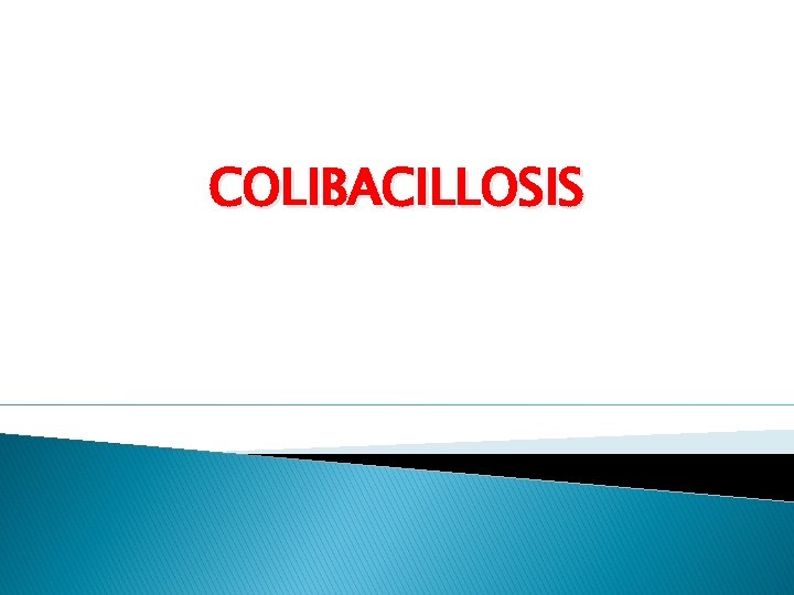 COLIBACILLOSIS 