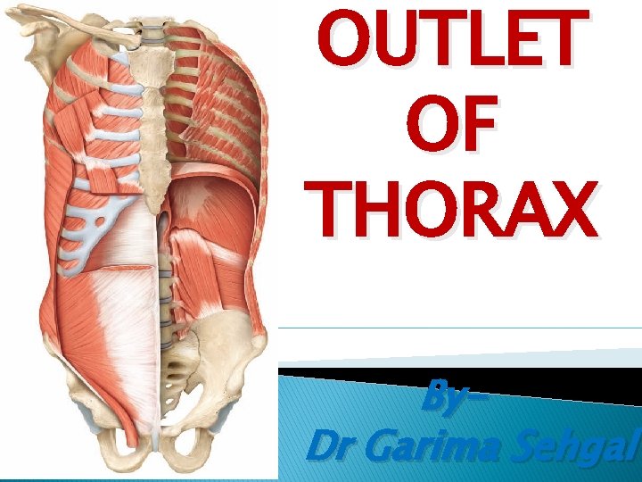 OUTLET OF THORAX By. Dr Garima Sehgal 