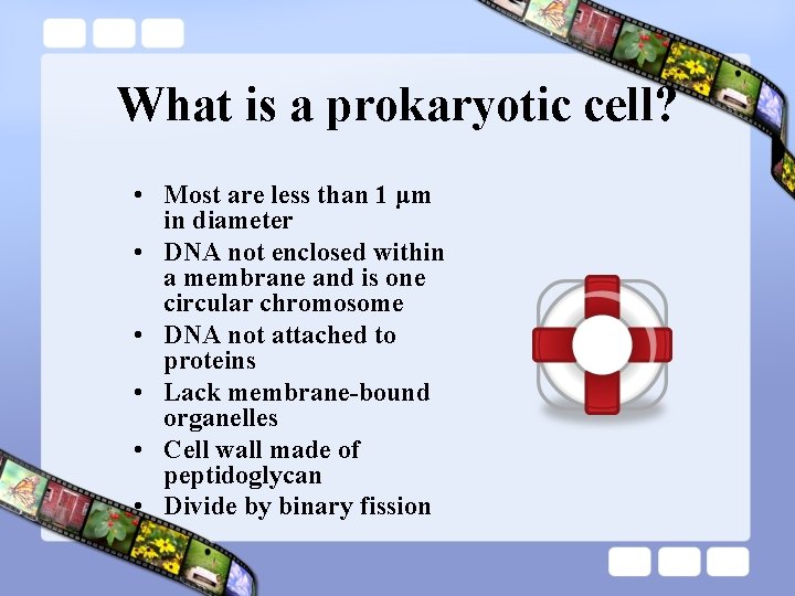 What is a prokaryotic cell? • Most are less than 1 μm in diameter What is a prokaryotic cell? • Most are less than 1 μm in diameter
