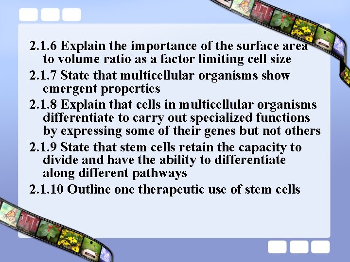 2. 1. 6 Explain the importance of the surface area to volume ratio as 2. 1. 6 Explain the importance of the surface area to volume ratio as