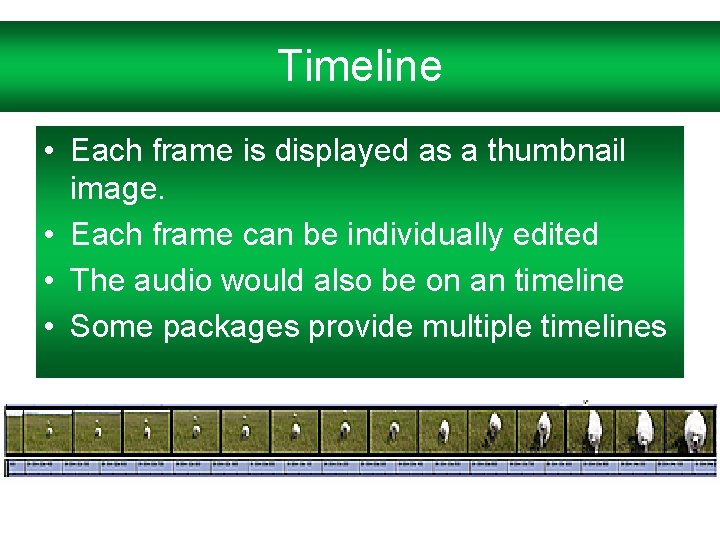 Timeline • Each frame is displayed as a thumbnail image. • Each frame can