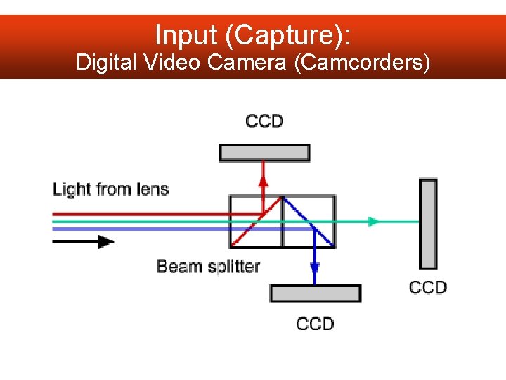 Input (Capture): Digital Video Camera (Camcorders) 