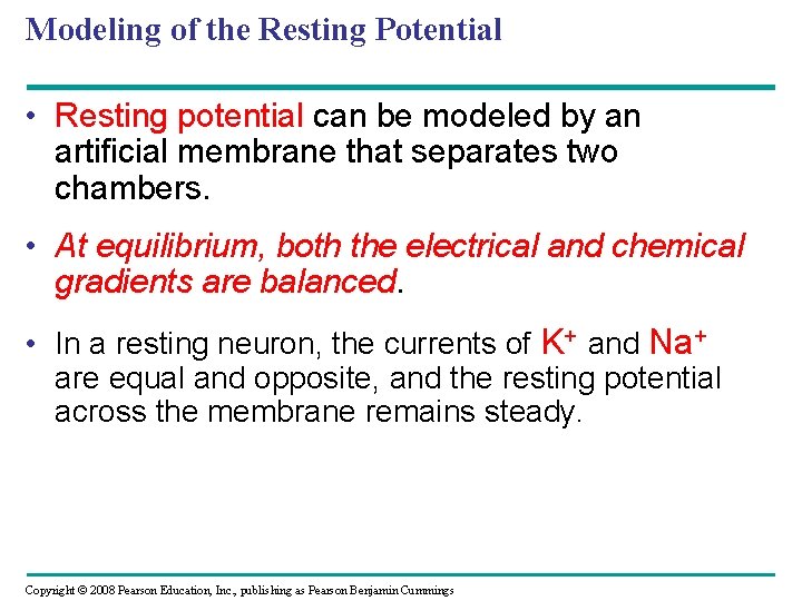 Modeling of the Resting Potential • Resting potential can be modeled by an artificial