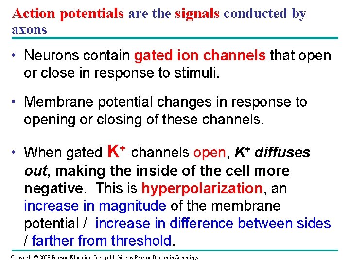 Action potentials are the signals conducted by axons • Neurons contain gated ion channels