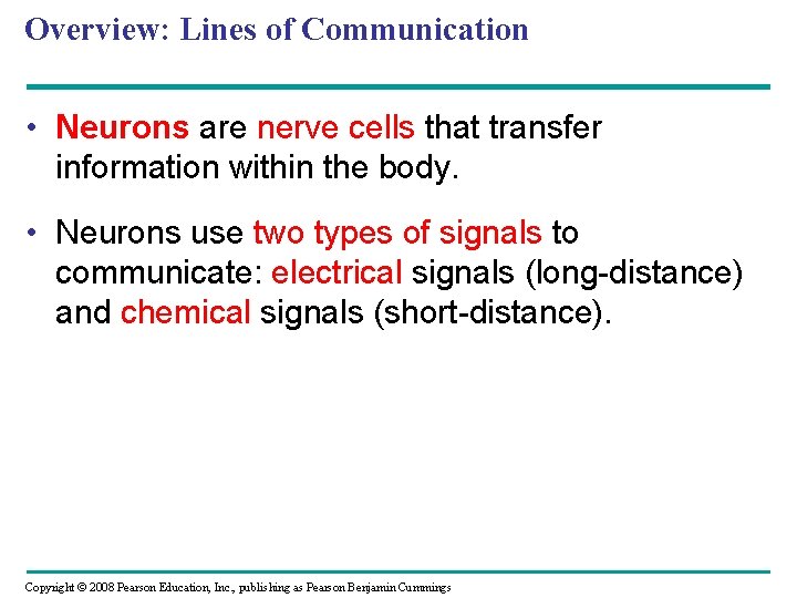 Overview: Lines of Communication • Neurons are nerve cells that transfer information within the