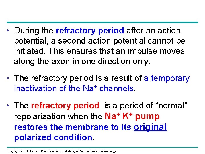  • During the refractory period after an action potential, a second action potential